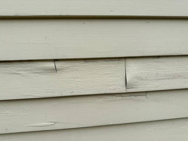 Best Engineered Wood Siding  in Athens, PA